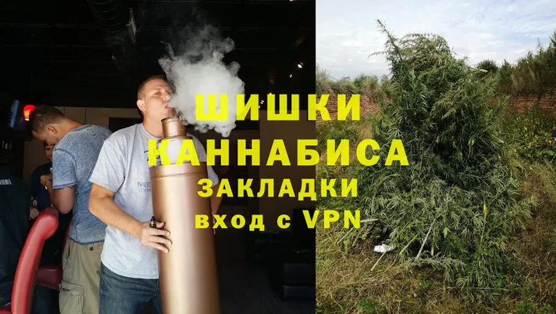 где купить   mega сайт  Бошки Шишки THC 21%  Орск 